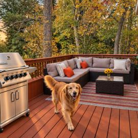 Cozy pet-friendly home near hiking trails and Lake Vermilion, Hotel in Tower