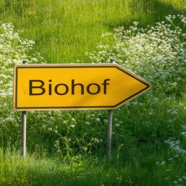 Biohof - die gemütliche Älplersuit mit Terrasse