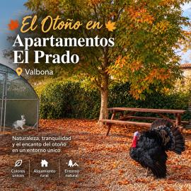 Apartamentos El Prado FAMILIAS, готель у місті Valbona