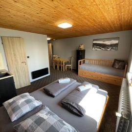 Apartments Maxi, hotel a Strážné