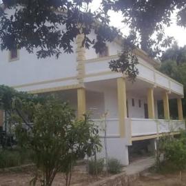 Tea apartman: Kampor şehrinde bir otel