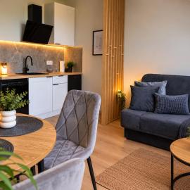 Apartamenty Zdrojowe Busko - Premium, nowy, osobna sypialnia, bezpłatny parking, ekspres, masaż