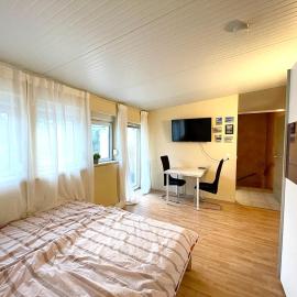 Apartment in Sandhausen, hotel din Sandhausen