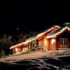 The Heritage Lodge - Geilo