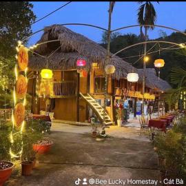 Bee Lucky Homestay Cát Bà