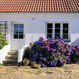 Apartment Hening - 150m from the sea by Interhome