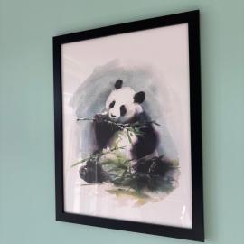Panda Apartment Plac Solny 4 z klimatyzacją