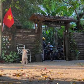mehome Hidden Garden Homestay, hotell i Cư Chinh