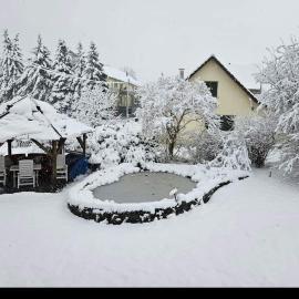 Holzchalet mit Garten