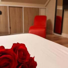 L'Ascension du Love - Jacuzzi & Sauna privés en duplex, hotel in Brie-Comte-Robert