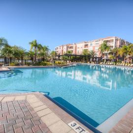 Florida Palms