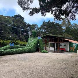 Hotel Selva Mistica Monteverde