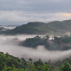 Evara Hills