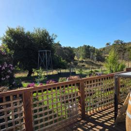 Moonaree Cabin, Narrawong