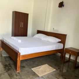 Three Turtle Rooms & Apartment