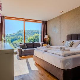 Vineyard View Retreat - Terrace, Pool & Sauna