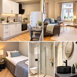 3- Cozy, newly renovated studio apartment with an alcove