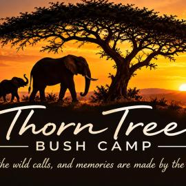Thorn Tree Bush Camp, viešbutis mieste Klipdrift
