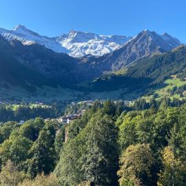 Adelboden Penthouse