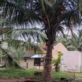 Sthira Farmstay, hotel sa Pollachi