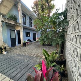 El Panot