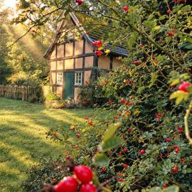 Idyllisches Ferienhaus Nähe Dümmer See Auszeit Sauna Kraniche, hotell i Eydelstedt
