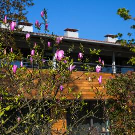Apartamentos Casona de la Paca, hotel sa Cudillero