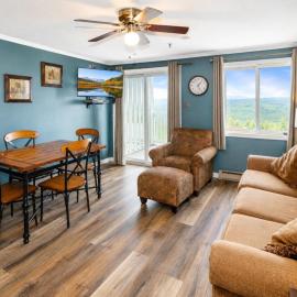 ML176 1st Floor Mountain View Wi-Fi Parking Next to Village and Slopes