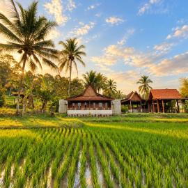 Omah Osing Ijen Banyuwangi, hotel din Licin