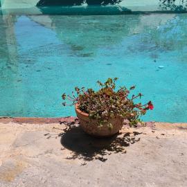 Arhodico Simou mansion, Hotel in Kambos