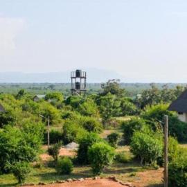 Accacia wilderness mweya