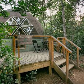 Bosque Vivo, hotell i Recinto