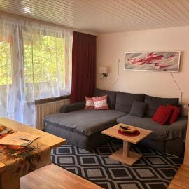 Gemütliche Ferienwohnung in Sankt Blasien