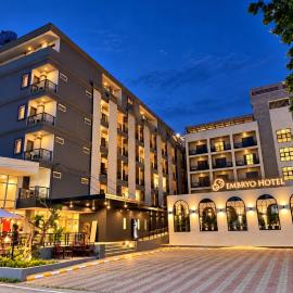 Embryo Hotel