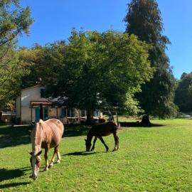Agriturismo La Casa Nel Bosco, khách sạn ở Boveglio