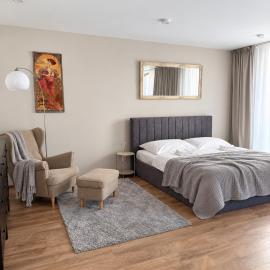 Veleslaveenka - Spacious Apartment in Pilsen Old Town