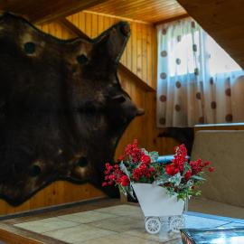 Viscri Trophy Cabin, ξενοδοχείο σε Jibert