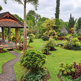 KARANG SARI Guesthouse & Warung