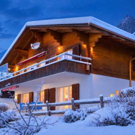 Lake Thun Alps Scenic Views and Concierge by SwissHut
