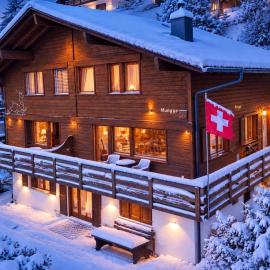 Lake Thun Alps Scenic Views and Concierge by SwissHut
