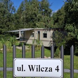 Ulinia Wilcza 4 beżowy