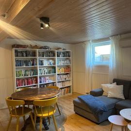 Romslig leilighet - 8 min from Oslo Airport