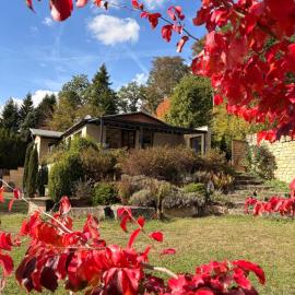 Ferienhaus Eifelgruß, in schöner Waldrandlage und tollem Naturgarten
