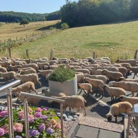 Modernes Rhombushaus im Naturparadies Sauerland