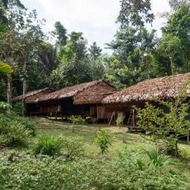 Dorado Amazon Lodge: Islas Timicuro'da bir otel