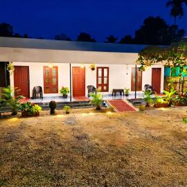 Mangrove Planet Homestay