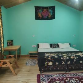 Area 51 Kasol