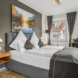 Holz & Hirsch Loft - Parkplatz und Hund