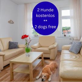 2 Hunde willkommen - Wanderwege in 3 Minuten - Alte Schule