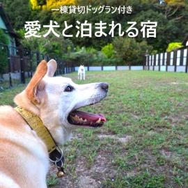 お宿もとめ, hotel u gradu Imabari